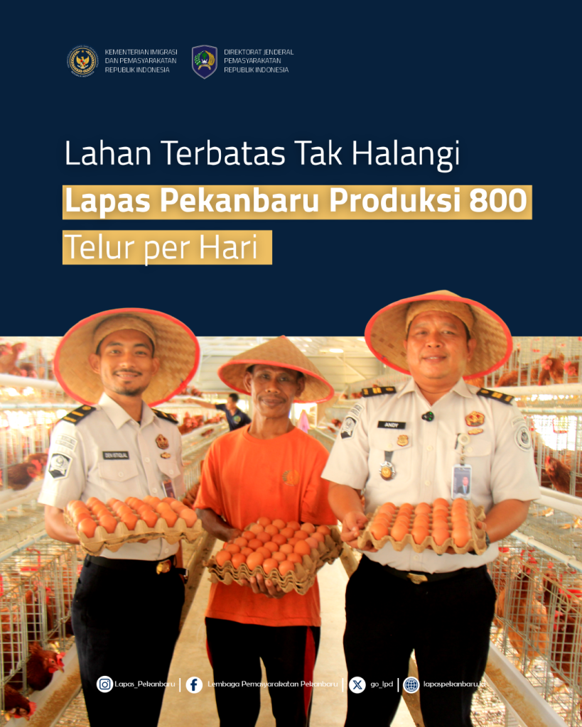 Lahan Terbatas Tak Halangi Lapas Pekanbaru Produksi 800 Telur per Hari