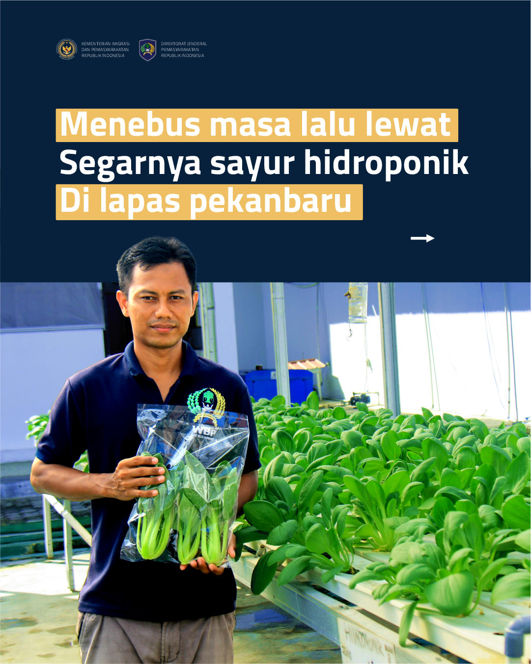 Menebus Masa Lalu Lewat Segarnya Sayur Hidroponik Di Lapas Pekanbaru